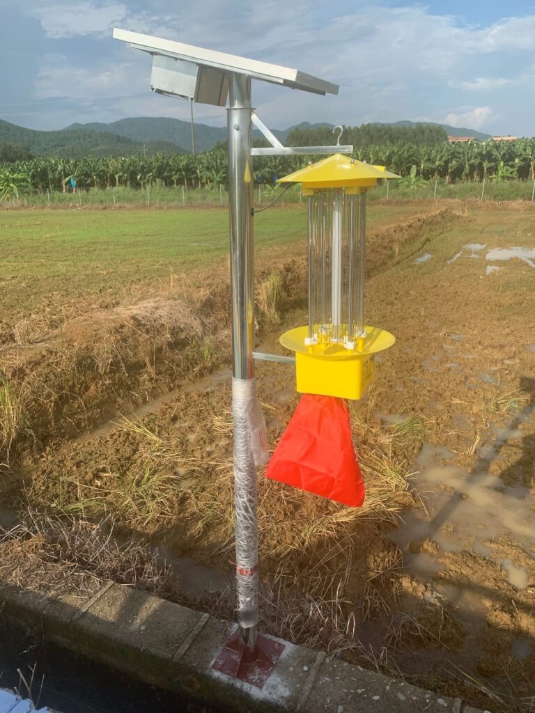 WhatsApp Image 2026-06-09 at 09.02.17 (1)