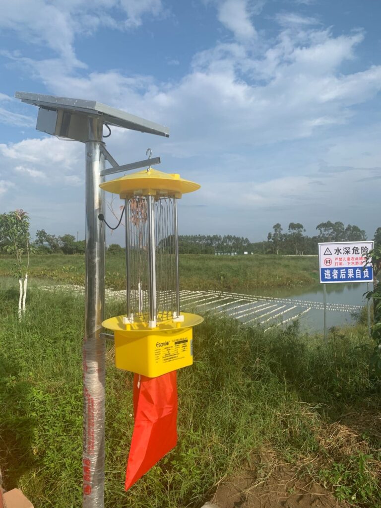 WhatsApp Image 2026-06-09 at 09.02.17